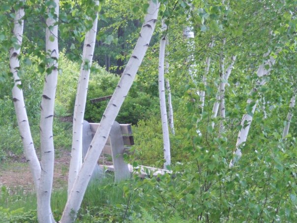 A park bench