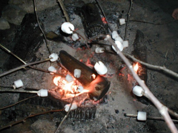 Marshmellow Roast - Council Ring campfire